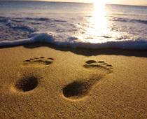 Dip-2-footprint-B.jpg