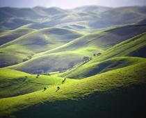 Dip-3-hill-B.jpg