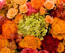 Do-bouquet-B.jpg
