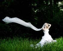 Do-veil-B.jpg