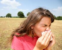 Doing-Sneeze-B.jpg