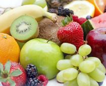 Elephant-Fruit-B.jpg
