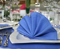 Evening-napkin-B.jpg