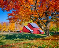 Fall-B.jpg