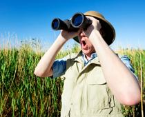 Far-Binoculars-B.jpg