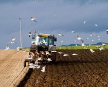 Farm-plow-B.jpg