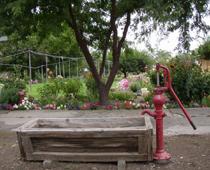 Farm-trough-B.jpg