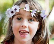Flower-daisy-B.jpg