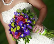 Flower-iris-B.jpg