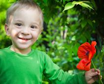 Flower-poppy-B.jpg