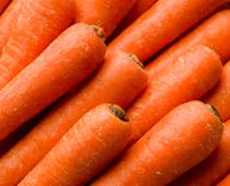 Food-from-plants-6-s.jpg