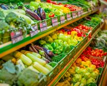 Food-from-plants-7-s.jpg