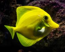 Gd-2-W-Topic-Q5-B.jpg