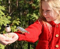 Girl-Feeding-B.jpg