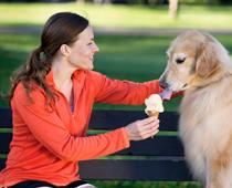 Give-Dog-B.jpg