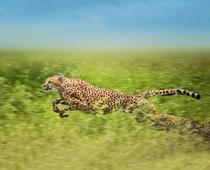 Going-Faster-3-s.jpg
