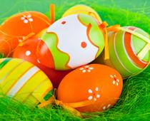 Goody-Eggs-B.jpg
