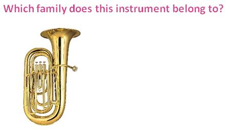 Grade-4-Instruments-2-Q10.jpg