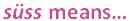 Grade-5-Musical-Terms-1-Q6.jpg