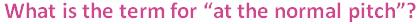 Grade-5-Musical-Terms-1-Q8.jpg
