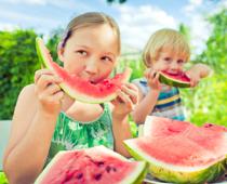 Group-Summer-B.jpg