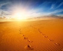 Happy-Desert-B.jpg