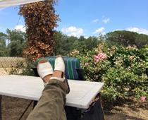High-3-shoe-B.jpg