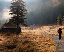 Hike-shelter-B.jpg
