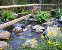 Hike-stream-B.jpg