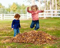Homes-for-Beasties-9-s.jpg