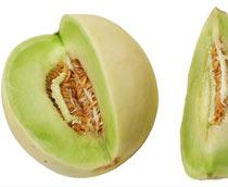Honeydew-Melon-B.jpg