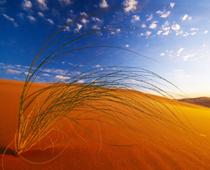 Hot-Desert-B.jpg