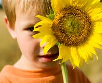 How-Things-Change-1-s.jpg