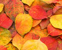 How-Things-Change-9-s.jpg