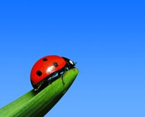Investigating-5-s.jpg
