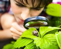 Investigating-7-s.jpg