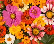 Its-a-Colourful-World-10-s.jpg