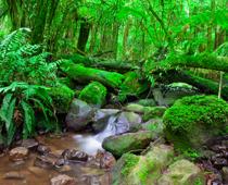 Its-a-Colourful-World-5-s.jpg