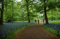 Kew-Gardens-B.jpg