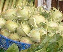 Kohlrabi-B.jpg