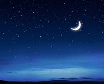Like-Night-B.jpg