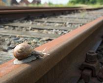 Like-Snail-B.jpg