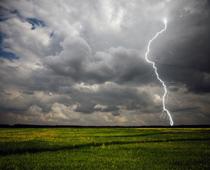 Like-Storm-B.jpg