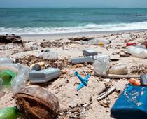 Litter-And-Waste-8-s.jpg