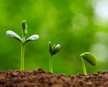 Living-Things-6-s.jpg