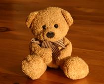 Living-Things-7-s.jpg