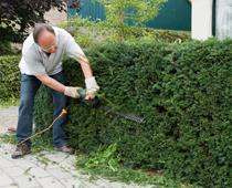 Looking-after-plants-8-s.jpg