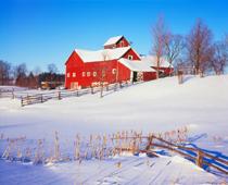 Lost-Winter-B.jpg