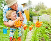 Lottery-garden-B.jpg