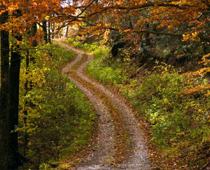 Lottery-lane-B.jpg